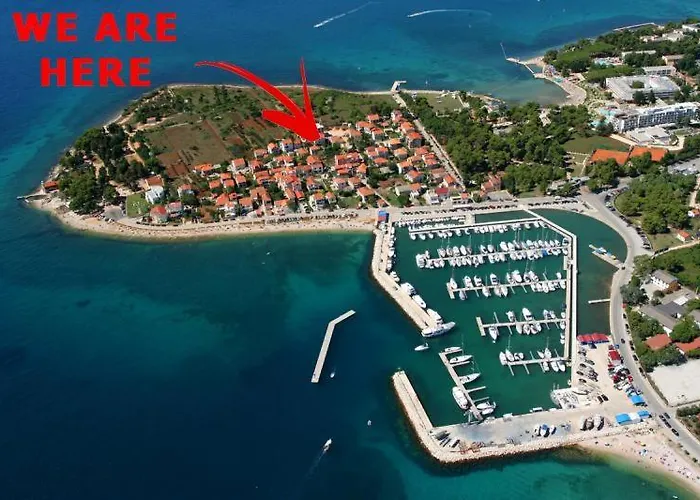 Anabella Ii * Zára