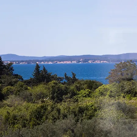 Anabella Ii * 자다르